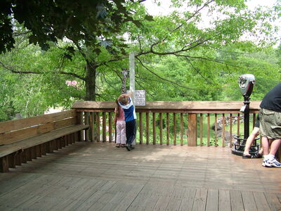 DSCF4664.JPG
