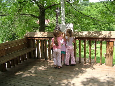 DSCF4665.JPG