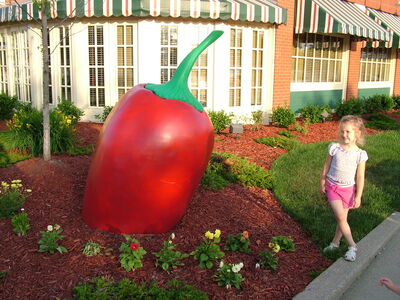 DSCF4810.JPG