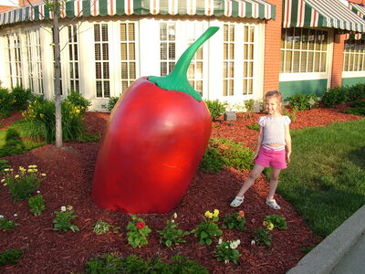 DSCF4811.JPG