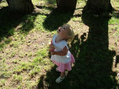 DSCF4940.JPG