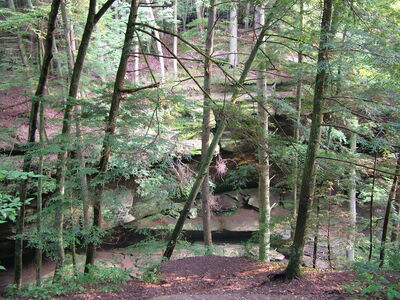 DSCF4975.JPG