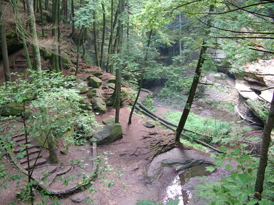 DSCF4976.JPG