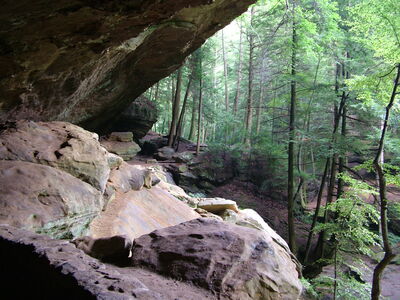 DSCF4978.JPG