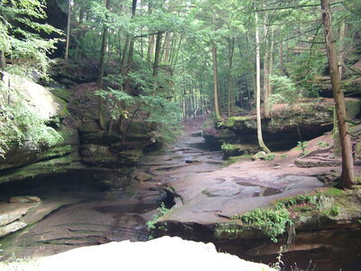 DSCF4981.JPG