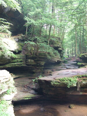 DSCF4982.JPG