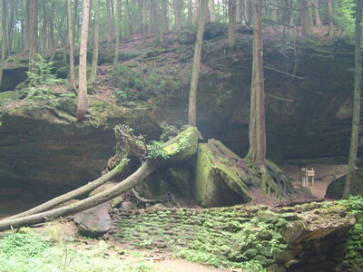DSCF4985.JPG