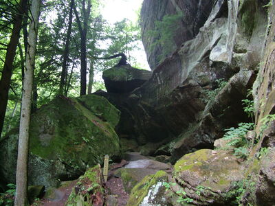 DSCF4987.JPG