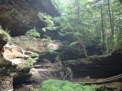 DSCF4988.JPG