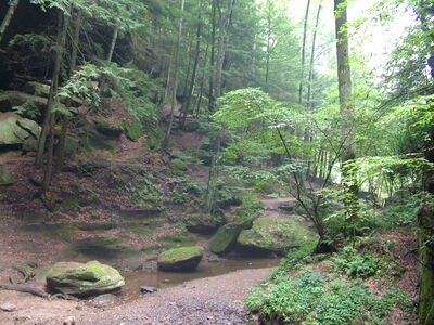 DSCF4989.JPG