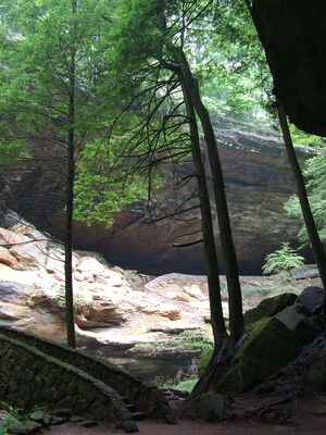 DSCF4990.JPG