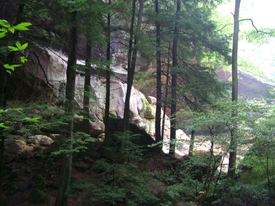 DSCF4991.JPG