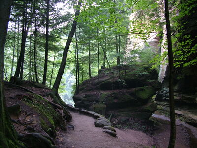 DSCF4992.JPG