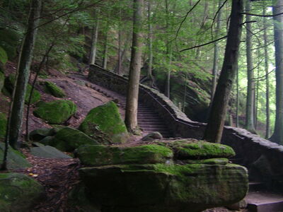 DSCF4993.JPG