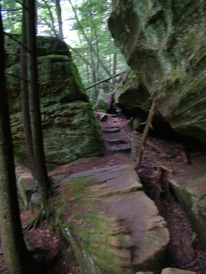 DSCF4994.JPG