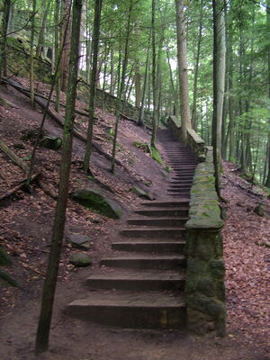 DSCF4995.JPG