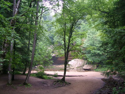 DSCF4996.JPG