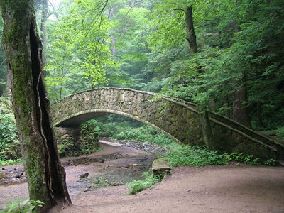 DSCF4997.JPG