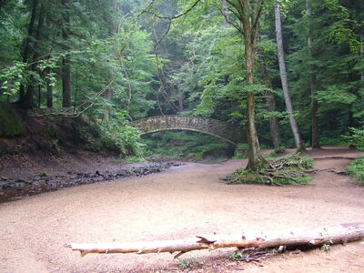 DSCF5001.JPG