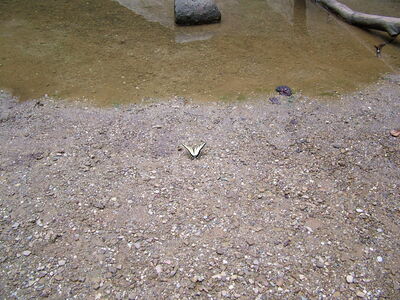 DSCF5002.JPG