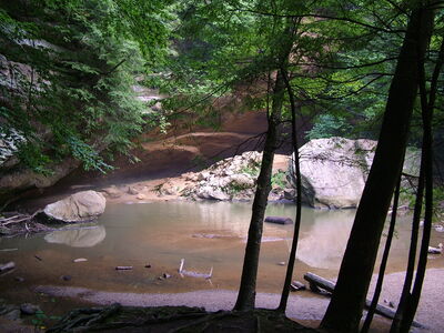 DSCF5004.JPG