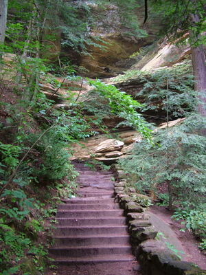 DSCF5005.JPG