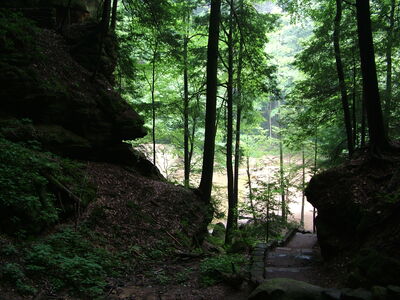DSCF5010.JPG