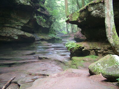 DSCF5017.JPG