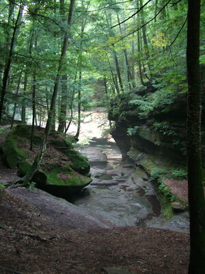 DSCF5021.JPG
