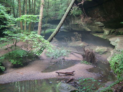 DSCF5022.JPG