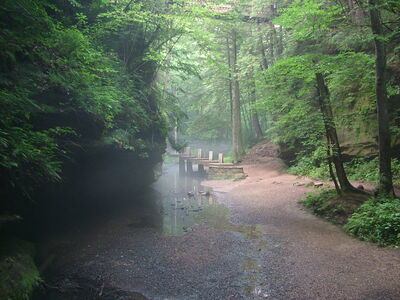 DSCF5023.JPG