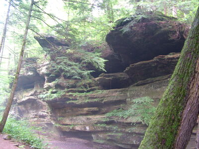 DSCF5029.JPG