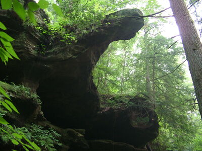 DSCF5030.JPG