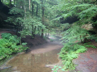 DSCF5034.JPG