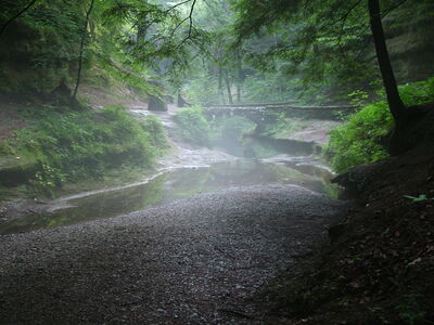 DSCF5036.JPG