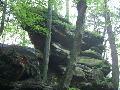 DSCF5037.JPG