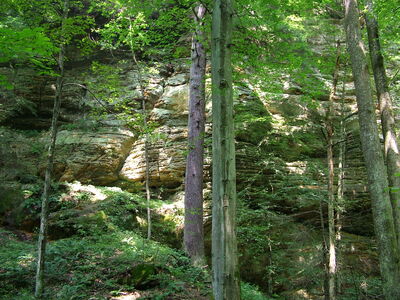DSCF5049.JPG