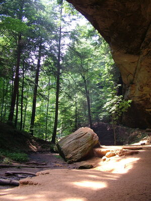 DSCF5063.JPG