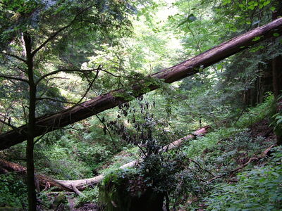 DSCF5073.JPG
