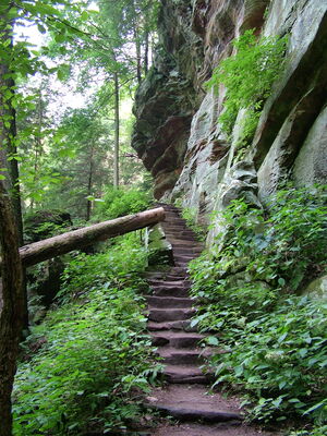 DSCF5074.JPG