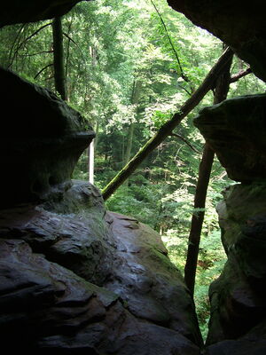DSCF5077.JPG