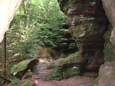 DSCF5088.JPG