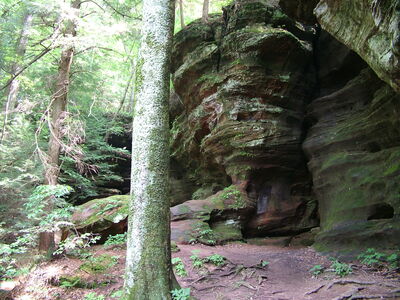 DSCF5091.JPG