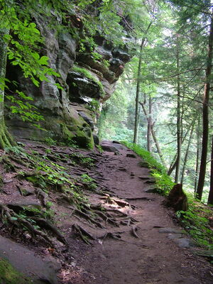 DSCF5092.JPG