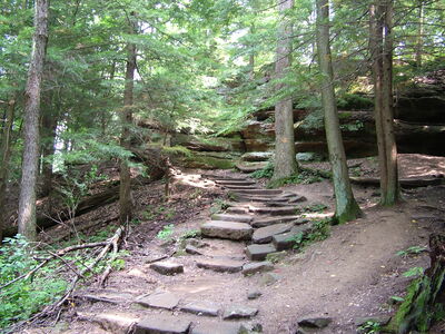 DSCF5094.JPG