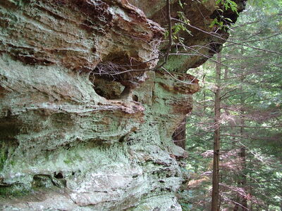 DSCF5095.JPG