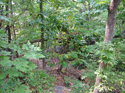DSCF5122.JPG