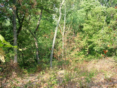 DSCF5124.JPG