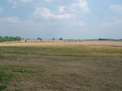DSCF5125.JPG