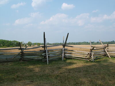 DSCF5131.JPG